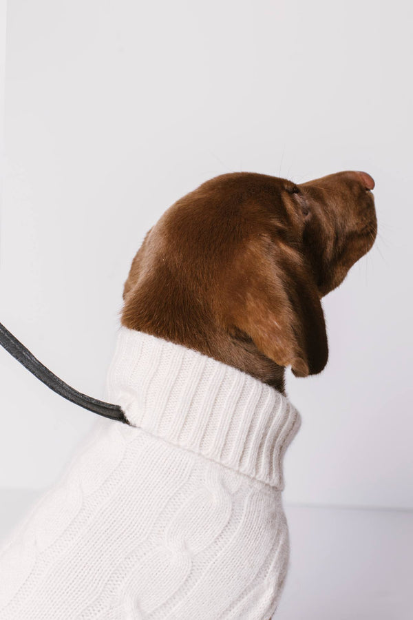 CABLE DOG SWEATER