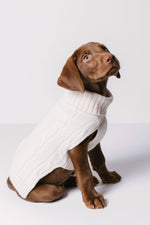 CABLE DOG SWEATER