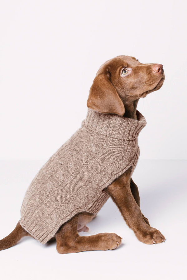 CABLE DOG SWEATER