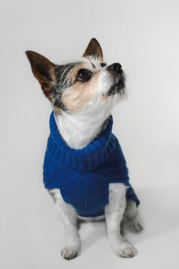 CABLE DOG SWEATER