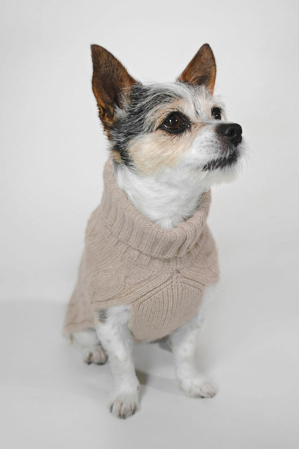 CABLE DOG SWEATER