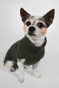 CABLE DOG SWEATER