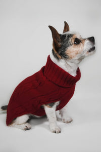 CABLE DOG SWEATER